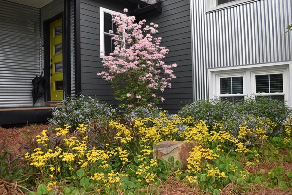 KM Gardens Landscaping