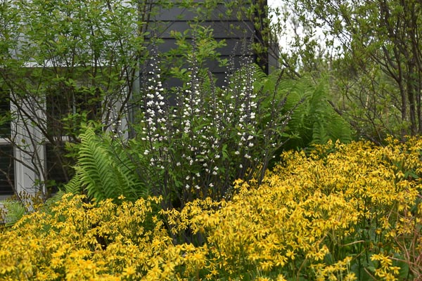 KM Gardens Landscaping