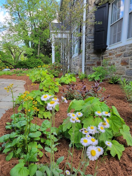 KM Gardens Landscaping