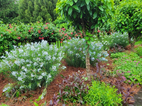 KM Gardens Landscaping