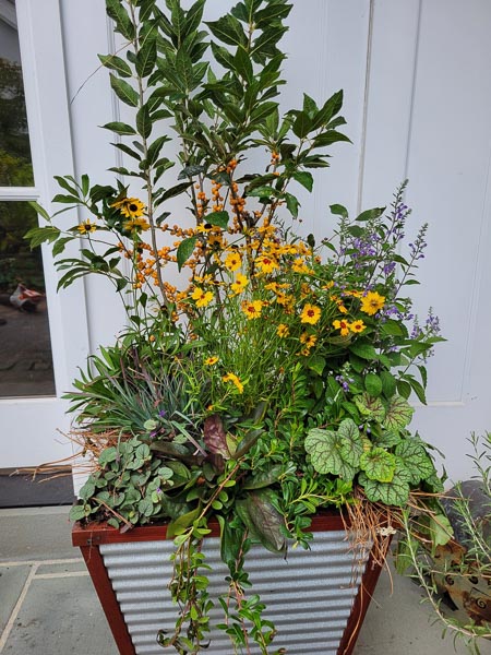 KM Gardens Landscaping