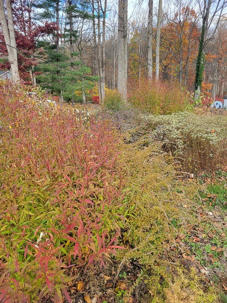 KM Gardens Landscaping